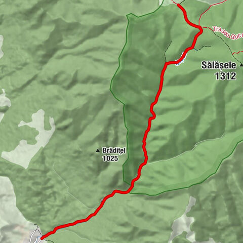 Gurghiu - Izvor