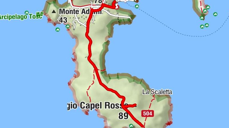 Giannutri - Oliveto - Poggio Capel Rosso
