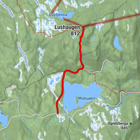 Gran - Lushaugen