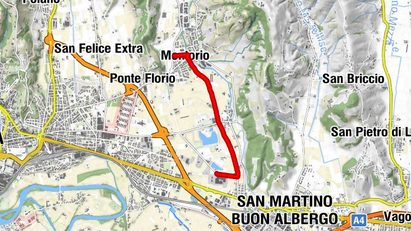 Montorio - San Martino Buon Albergo - Scimmia
