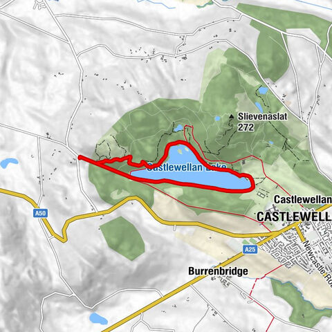 Castlewellan