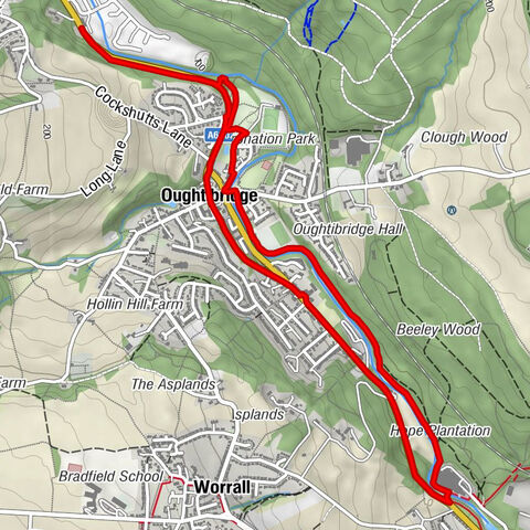 Barnsley - Luca - Cantonese Kitchen - Bradfield