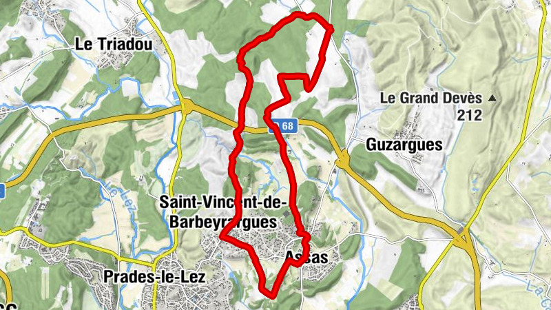 Saint-Vincent-de-Barbeyrargues - Église Saint-Martial d'Assas - Assas