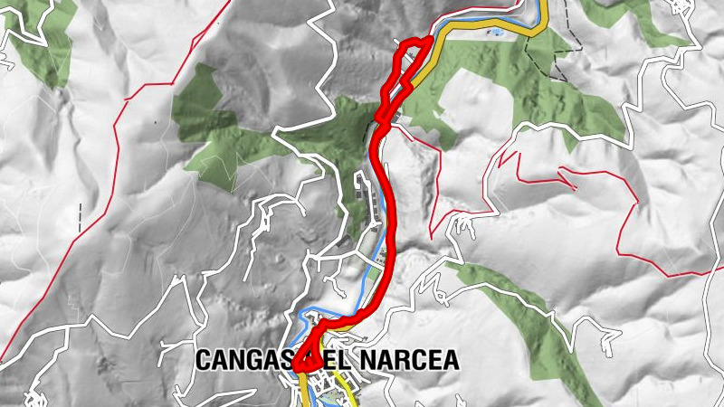 Cangas del Narcea - Basílica de Santa María Magdalena - Iglesia de Courias - Nuestra Señora de Riegla