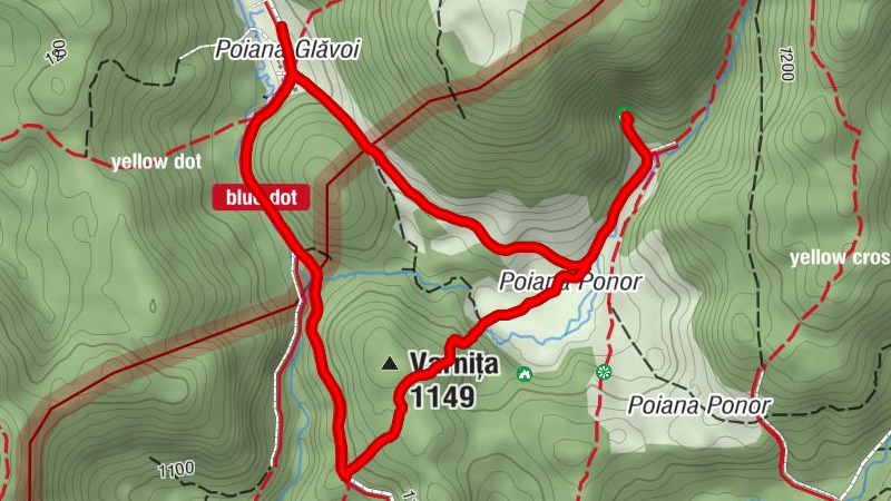 Pietroasa - Izbucul Ponor - Poiana Ponor - Varniţa