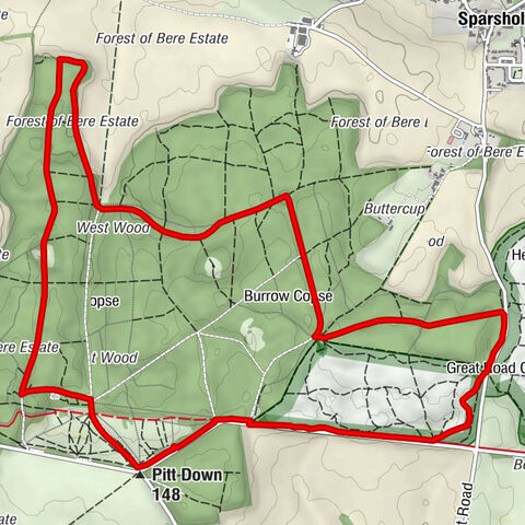 Hursley - Pitt Down - Leachley Copse - Sparsholt