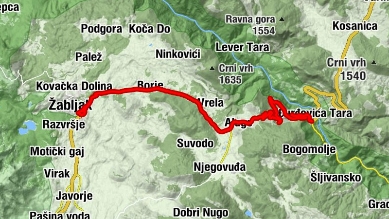 Žabljak - Junčev Do - Pendrek do - Zlatni Bor
