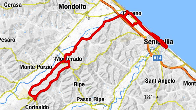 Madonna del Piano - Chiesa della Madonna della Misericordia - Senigallia - Sant'Apollonia