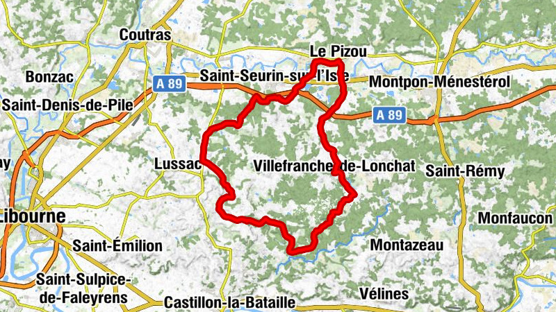 Église Notre-Dame-de-l'Assomption - L'un des Sens - Église Saint-Martin - Le Pizou