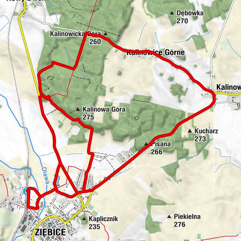 Ziębice - Kalinowicka Góra - Pisana