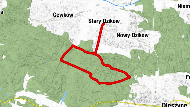 Stary Dzików - Kościół pw. Trójcy Przenajświętszej w Starym Dzikowie