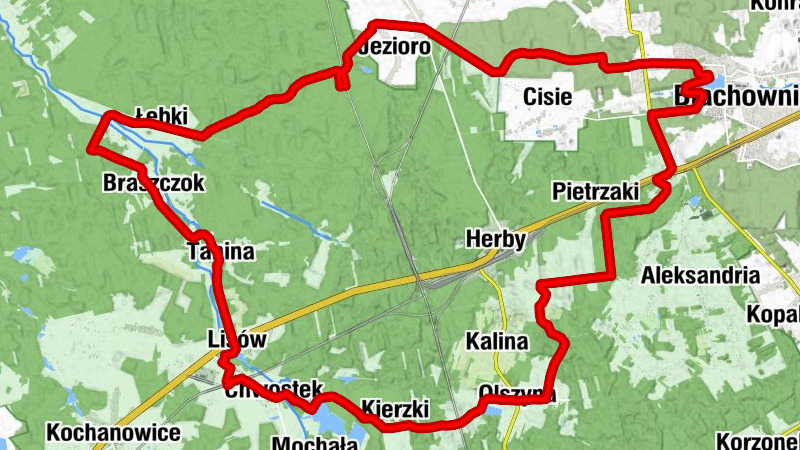 Lisów - Chwostek - Kościół pw. Wniebowzięcia Najświętszej Maryi Panny - Blachownia