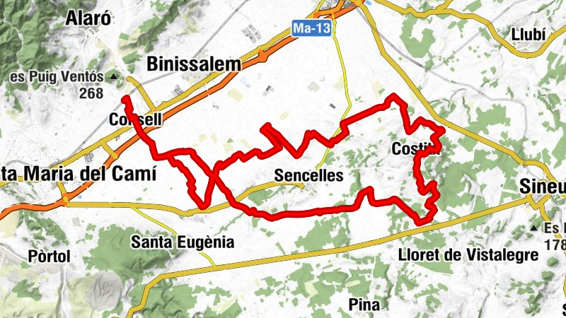 Son Manyes - Consell - Rústic - Biniali