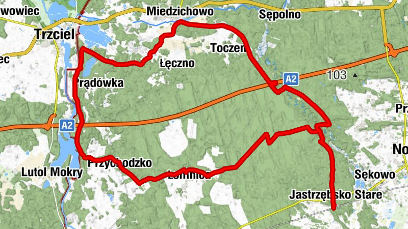 Jastrzębsko Stare - Mniszek - Miedzichowo - Kościół parafialny pw. św. Wawrzyńca