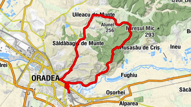 Oradea Est - Biserica Podgoria - Alunel - Nepomuki Szent János-templom