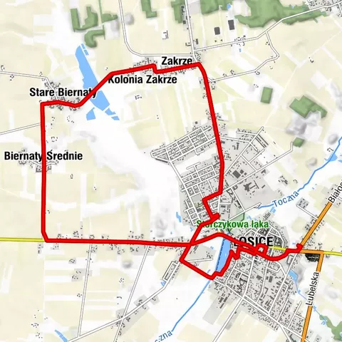 Kaplica pw. Świętego Stanisława Biskupa Męczennika - Kościół pw. Świętego Zygmunta - Kaplica wotywna