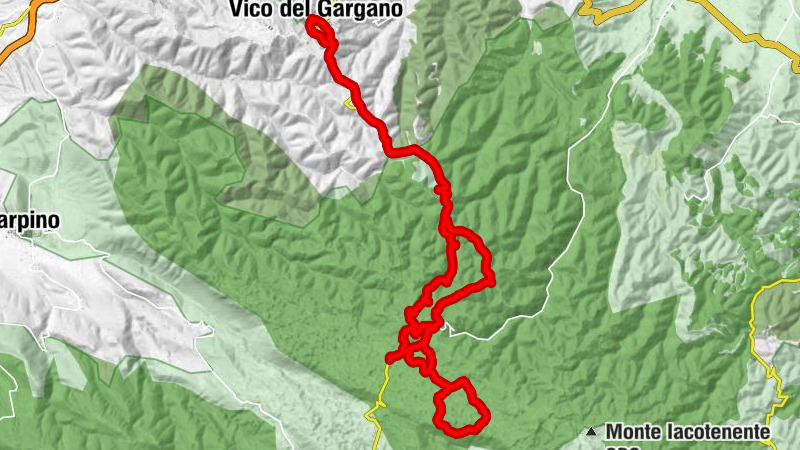 Vico del Gargano - Trattoria Foresta Umbra - Sant'Antonio - Chiesa della Misericordia