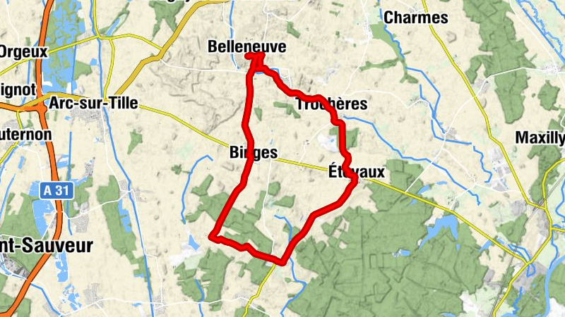 Belleneuve - Trochères - Église Saint-Bénigne - Église Saint-Étienne