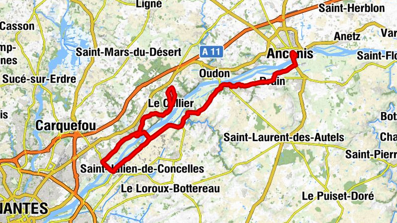 Ancenis - Chapelle Saint-Simon - Église Saint-Martin - Église Saint-Vincent