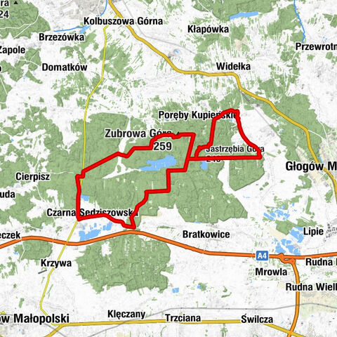Podleśnictwo - Jastrzębia Góra - Zubrowa Góra - Czarna Sędziszowska