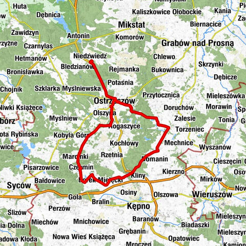 Niedźwiedź - Arkadia - Ostrzeszów - Bałczyna