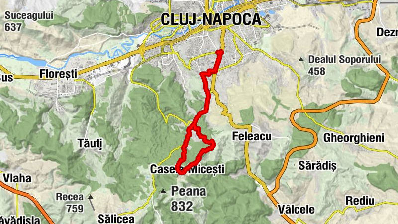 Cluj-Napoca - Europa - Silva - Casele Micești