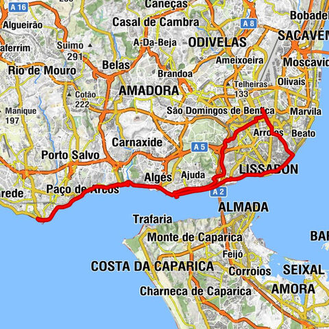 Roma - Igreja de Nossa Senhora do Rosário de Fátima - Igreja de São Pedro em Alcântara - Capela de Santo Amaro