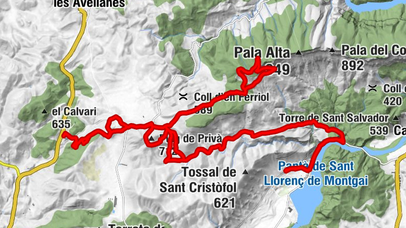 Sant Llorenç de Montgai - Església de l'Assumpció - Santa Maria - Monestir de les Avellanes