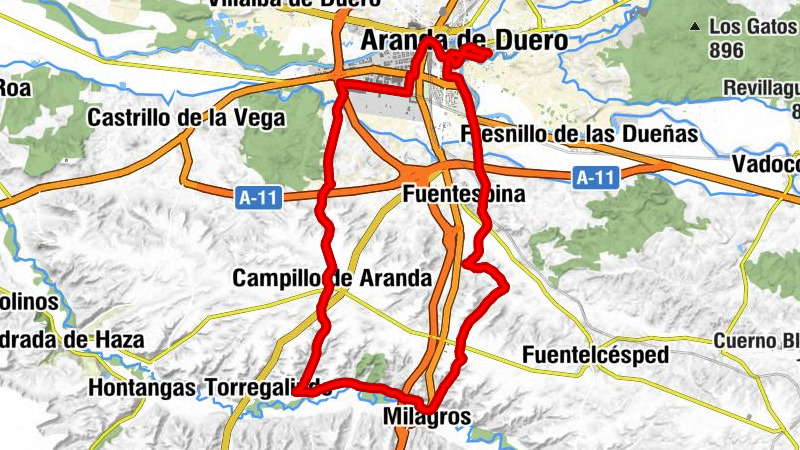Aranda de Duero - Iglesia de Santo Domingo de Guzmán - Campillo de Aranda - Milagros