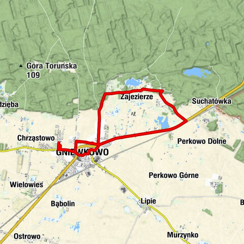 Gniewkowo - Kościół świętych Mikołaja i Konstancji - Michałowo