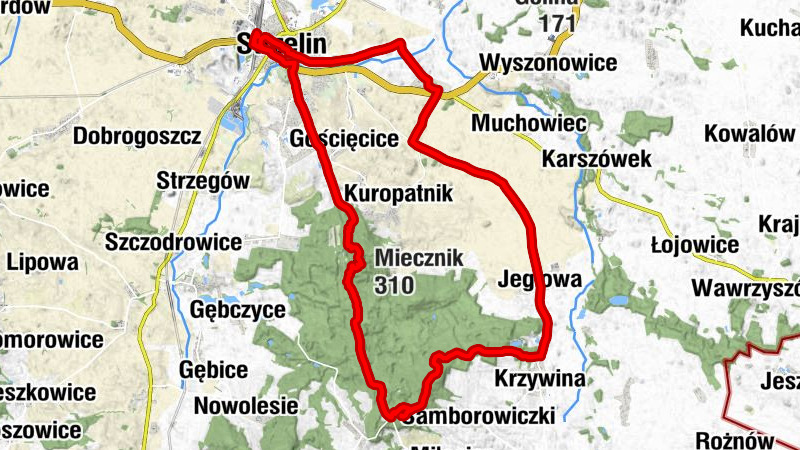 Strzelin - Szerzawa - Gromnik - Miecznik