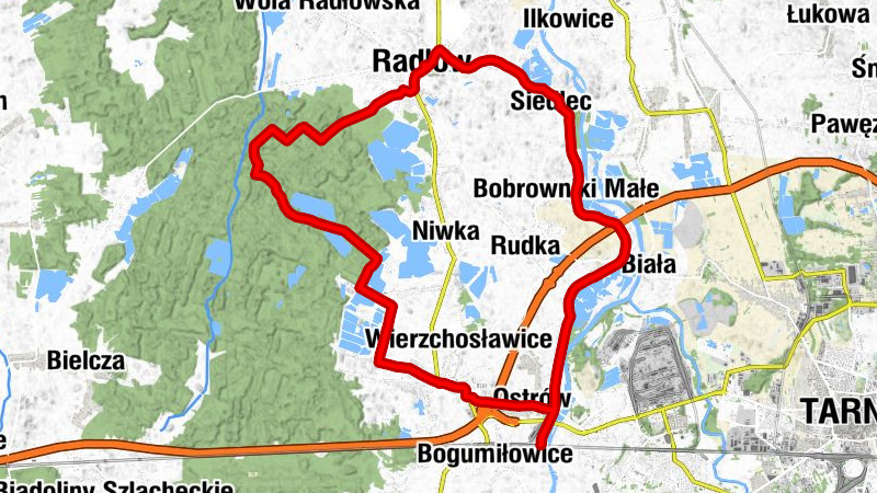 Radłów - Kościół Matki Bożej Pocieszenia w Wierzchosławicach - Rektorat pw. Błogosławionej Karoliny Kózka w Siedlecach - Kościół św. Jana Chrzciciela w Radłowie