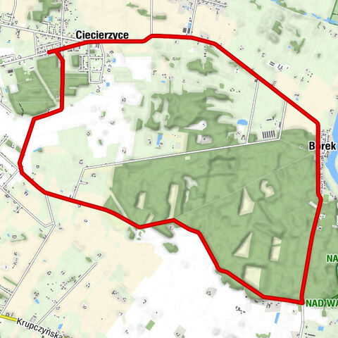 powiat gorzowski - Borek - Ciecierzyce - Kościół filialny pw. Matki Bożej Różańcowej w Ciecierzycach