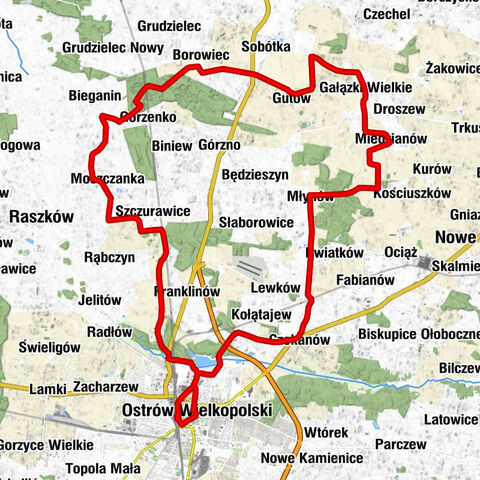 Ostrów Wielkopolski - Nowy Staw - Pod Dębami