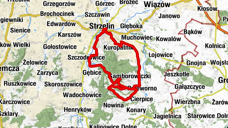 Strzelin - Kościół Matki Chrystusa i św. Jana Apostoła i Ewangelisty - Kościół pw. św. Antoniego Padewskiego - Gromnik