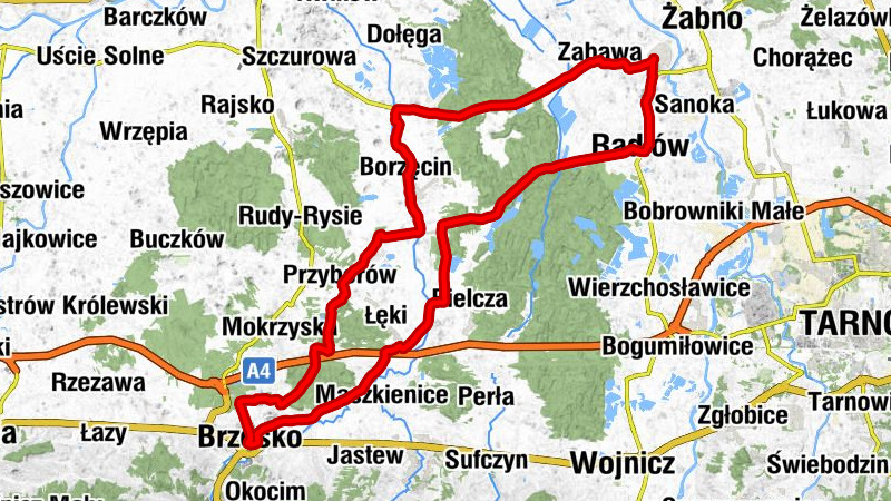 Kościół Najświętszej Maryi Panny Częstochowskiej w Biskupicach Radłowskich - Kościół pw. Trójcy Przenajświętszej w Zabawie - Kościół pw. Świętego Stanisława Biskupa i Męczennika w Szczepanowie - Kaplica św. Stanisława w Szczepanowie