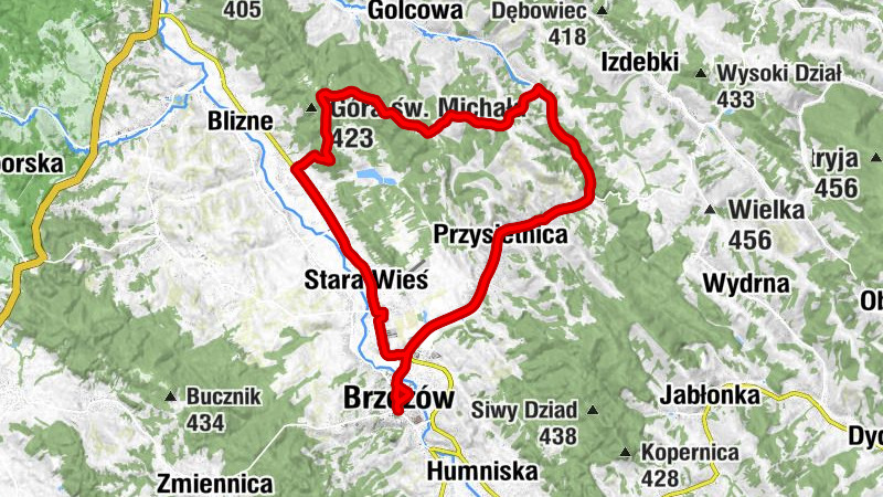 Brzozów - Kościół pw. Przemienienia Pańskiego - Bazylika Wniebowzięcia Najświętszej Maryi Panny - Kaplica św. Józefa