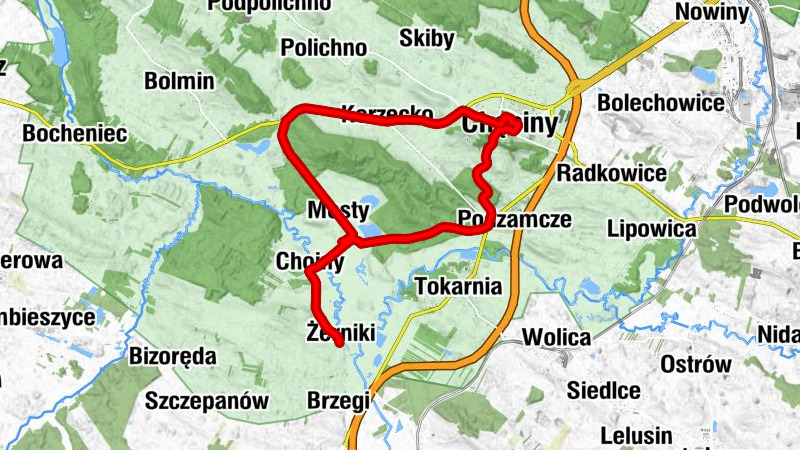 Żerniki - Choiny - Kościół pw. Świętej Marii Magdaleny - Chęciny