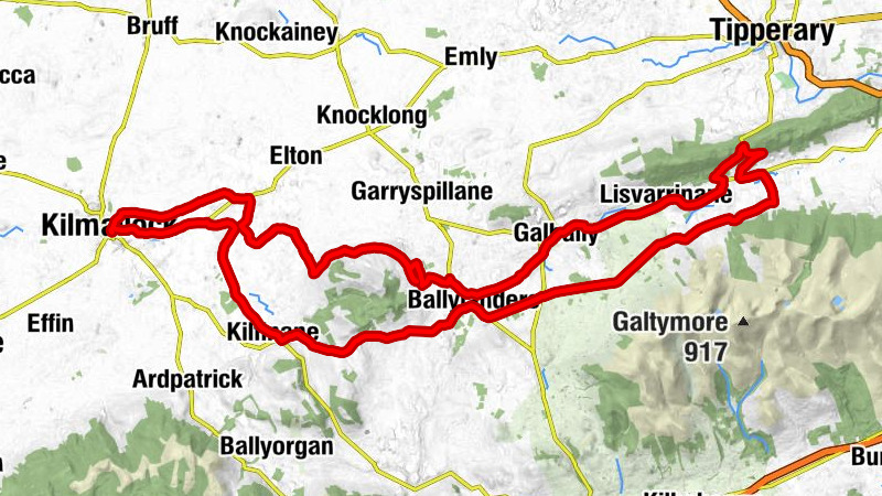 Kilmallock - Church of The Sacred Heart - Church of the Assumption - St. Andrew's Church