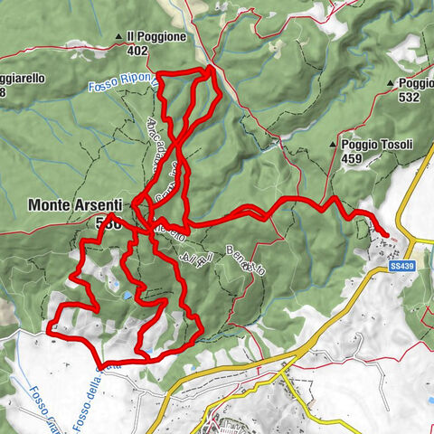 Pian dei Mucini - Imposto del Campani - Cava alla Rena - Monte Arsenti