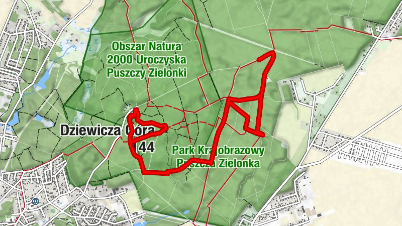Dziewicza Góra