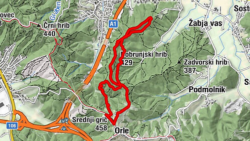 Gostilnica Orle - Srednji grič - Breznik - Orle