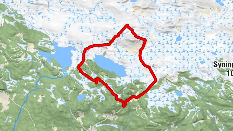 Høgehaug