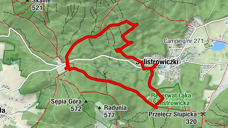 Sulistrowiczki - Sanktuarium Ślężańskiej Matki Bożej Dobrej Rady - Studnia św. Świerada - Przełęcz Tąpadła