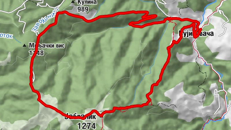 Бебића Лука - Јабланик - Пиргићи - Вујиновача