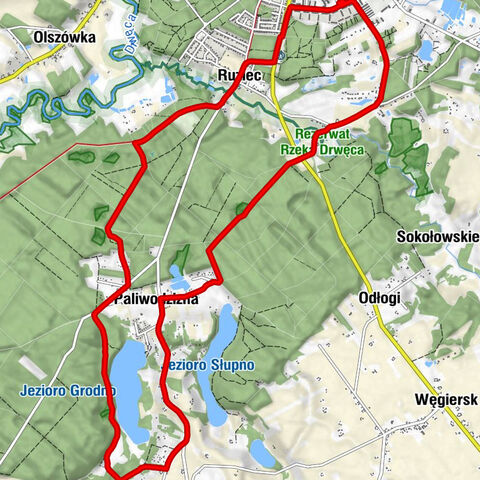 Golub-Dobrzyń - Osiedle Leśne - Ruziec - Pomorzany
