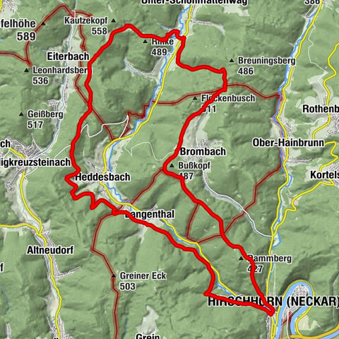 811 Hirschhorn Schönbrunn 6.7.25 PR