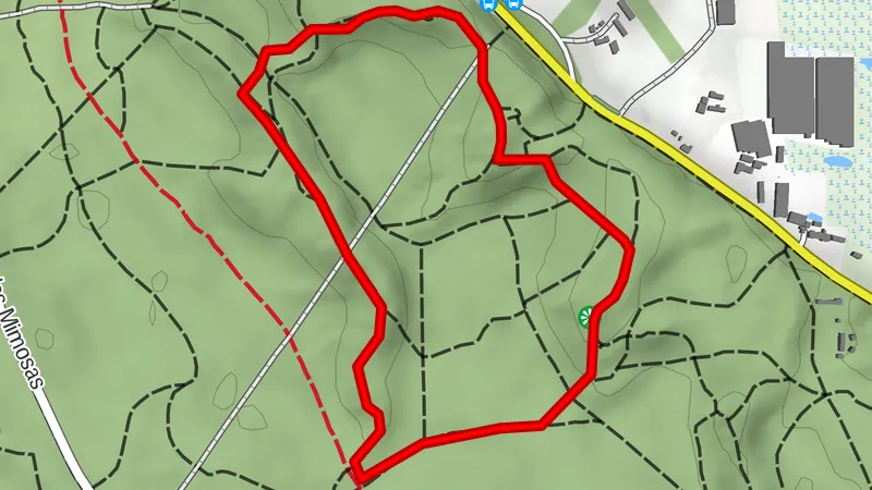 WALK LES HAUTS PEYS N°29