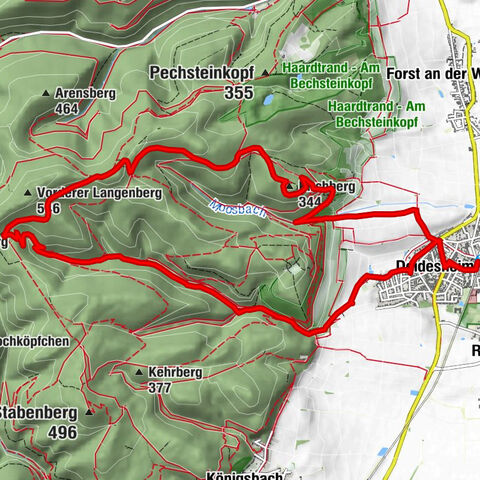 From Deidesheim over the Heidenlöcher to Eckkopf
