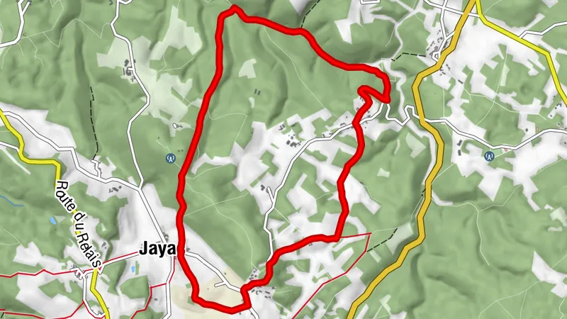 Boucle de la Forêt - Jayac